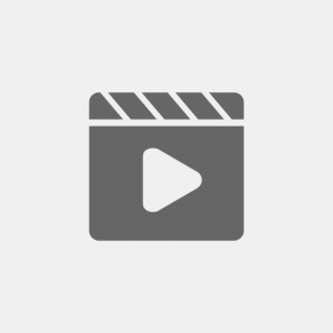 DOT-C2 Reflective Car Body Stickers